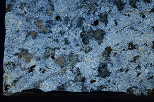 Cross Polarized, N5854