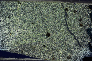 Cross Polarized, N5856