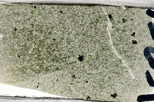 Plane Polarized, N5856