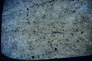 Cross Polarized, N5858