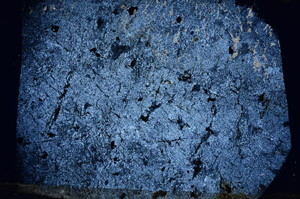 Cross Polarized, N5860