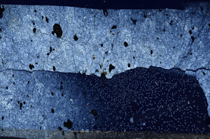 Cross Polarized, N5861