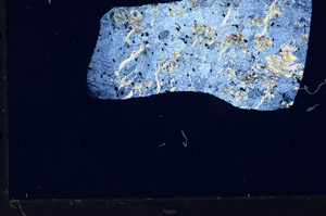 Cross Polarized, N5863