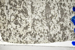 Plane Polarized, N5864
