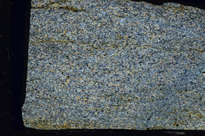 Cross Polarized, N5865