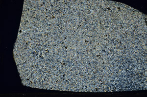 Cross Polarized, N5866