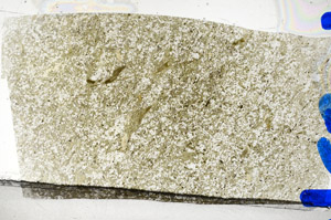 Plane Polarized, N5871