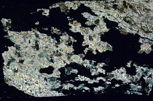 Cross Polarized, N5872