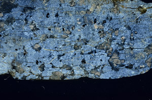 Cross Polarized, N5878