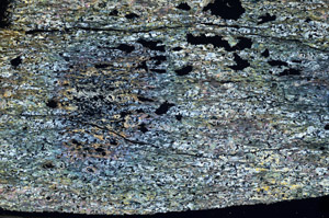 Cross Polarized, N5879