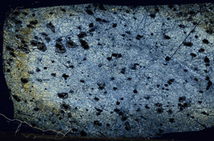 Cross Polarized, N5881