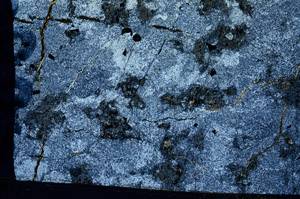 Cross Polarized, N5883