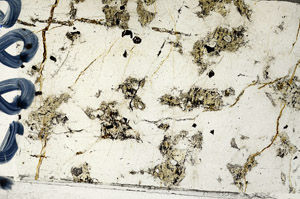 Plane Polarized, N5883