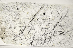 Plane Polarized, N5885