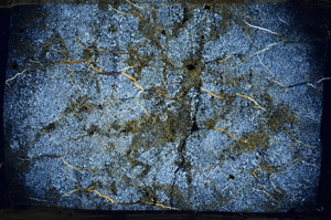 Cross Polarized, N5886