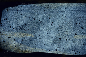 Cross Polarized, N5888