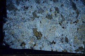 Cross Polarized, N5889