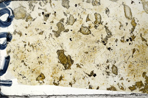 Plane Polarized, N5889