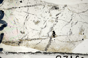 Plane Polarized, N5890