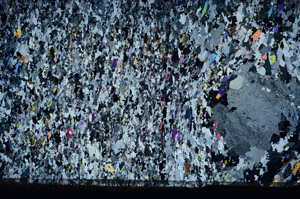 Cross Polarized, N5893