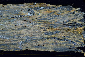 Cross Polarized, N5894