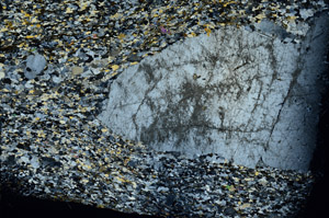 Cross Polarized, N5896