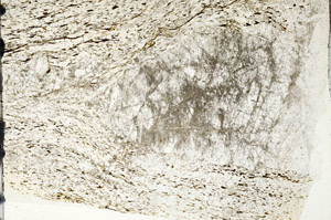 Plane Polarized, N5896