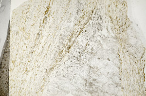 Plane Polarized, N5896/b