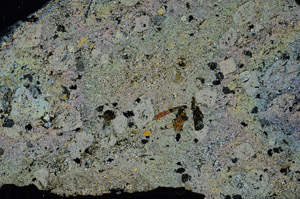 Cross Polarized, N5898