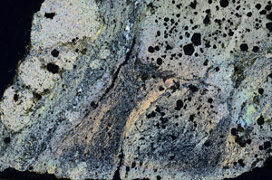 Cross Polarized, N5901