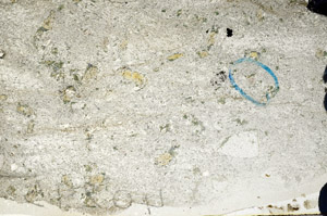 Plane Polarized, N5903