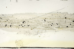 Plane Polarized, N5913