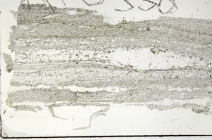 Plane Polarized, N5916
