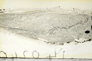 Plane Polarized, N5917