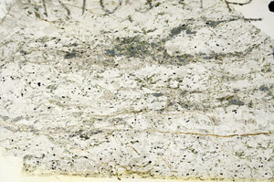 Plane Polarized, N5922