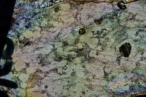 Cross Polarized, N5923