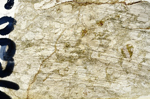 Plane Polarized, N5923