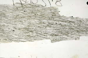 Plane Polarized, N5925