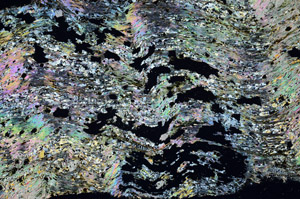 Cross Polarized, N5933