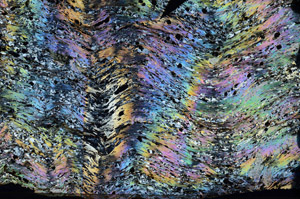 Cross Polarized, N5933/A