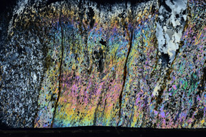 Cross Polarized, N5934