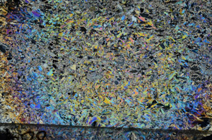Cross Polarized, N5937