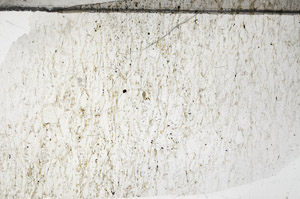 Plane Polarized, N5940