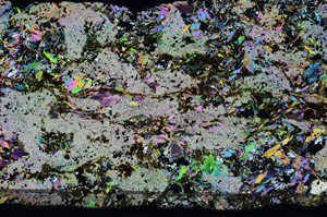 Cross Polarized, N5942