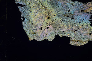 Cross Polarized, N5944