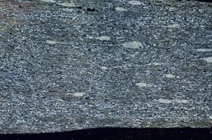 Cross Polarized, N5948