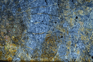 Cross Polarized, N5951