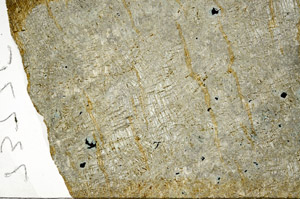 Plane Polarized, N5953