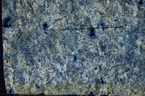 Cross Polarized, N5954
