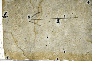 Plane Polarized, N5954